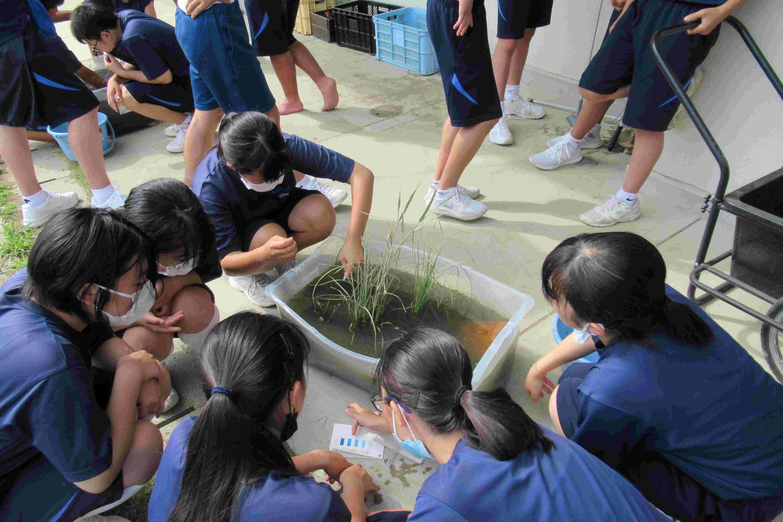 豊橋市立南稜中学校 豊橋市立南稜中学校 – ユネスコスクールSDGsアシストプロジェクト