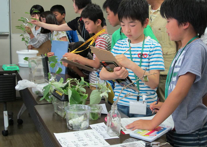 街頭募金（郡山次世代ユネスコ協会）