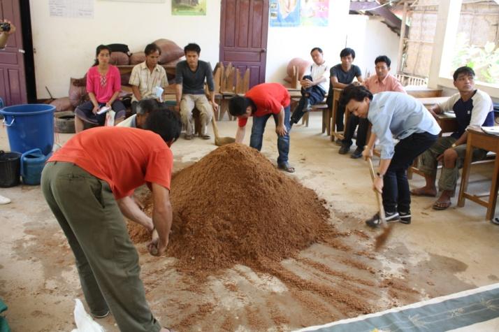 laos mashroom.JPG