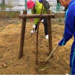 亘理町立荒浜中学校での花壇再生の様子