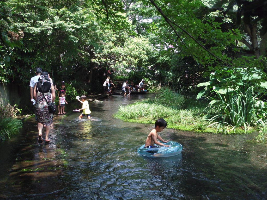 ドブ川化した川を市民力を結集して蛍が乱舞する清流に再生 復活 公益社団法人日本ユネスコ協会連盟