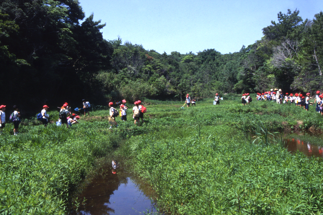 ふるさと納税 天神崎の自然を守るための寄附 和歌山県田辺市